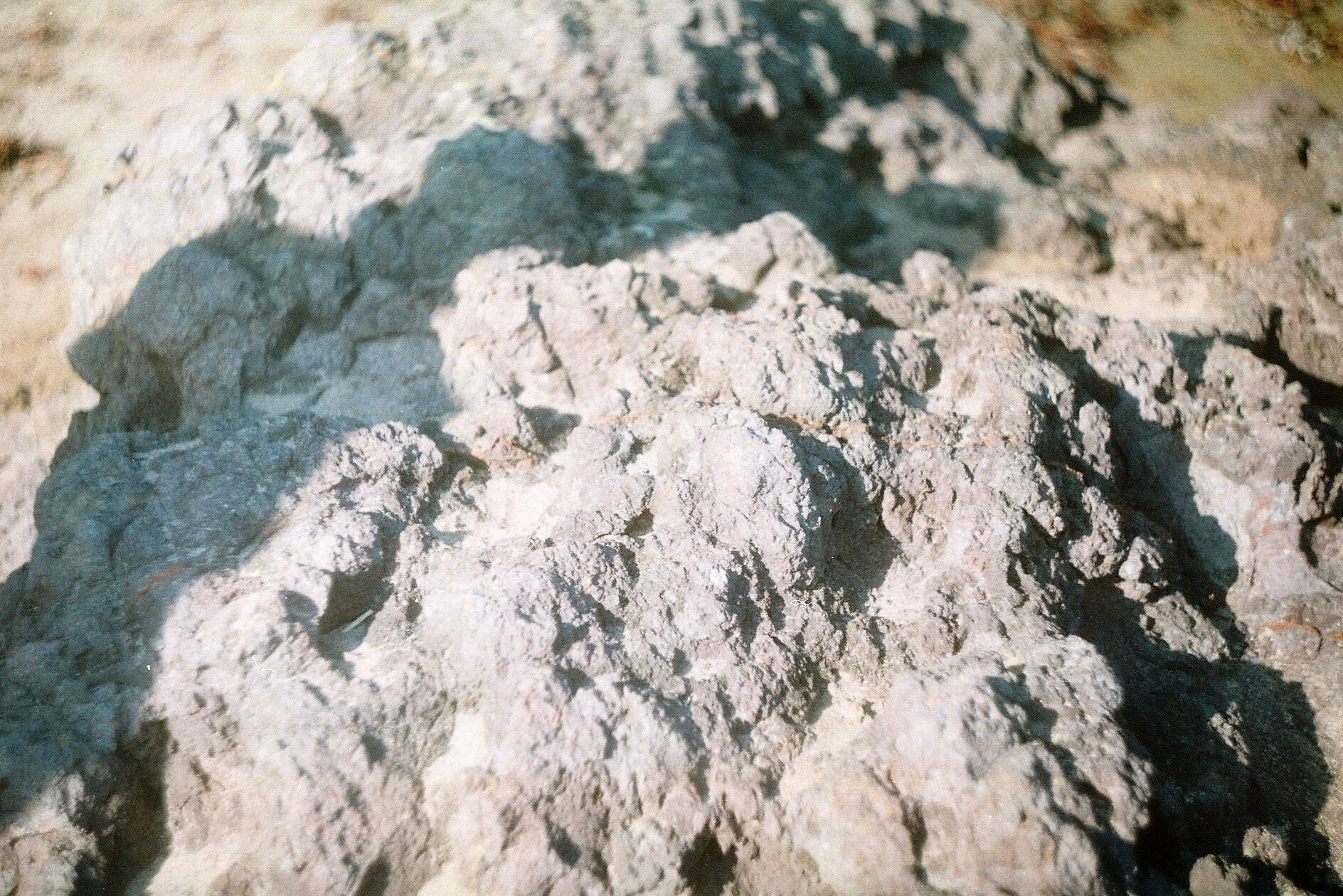 9149690961_39ce52cd05_o.jpg