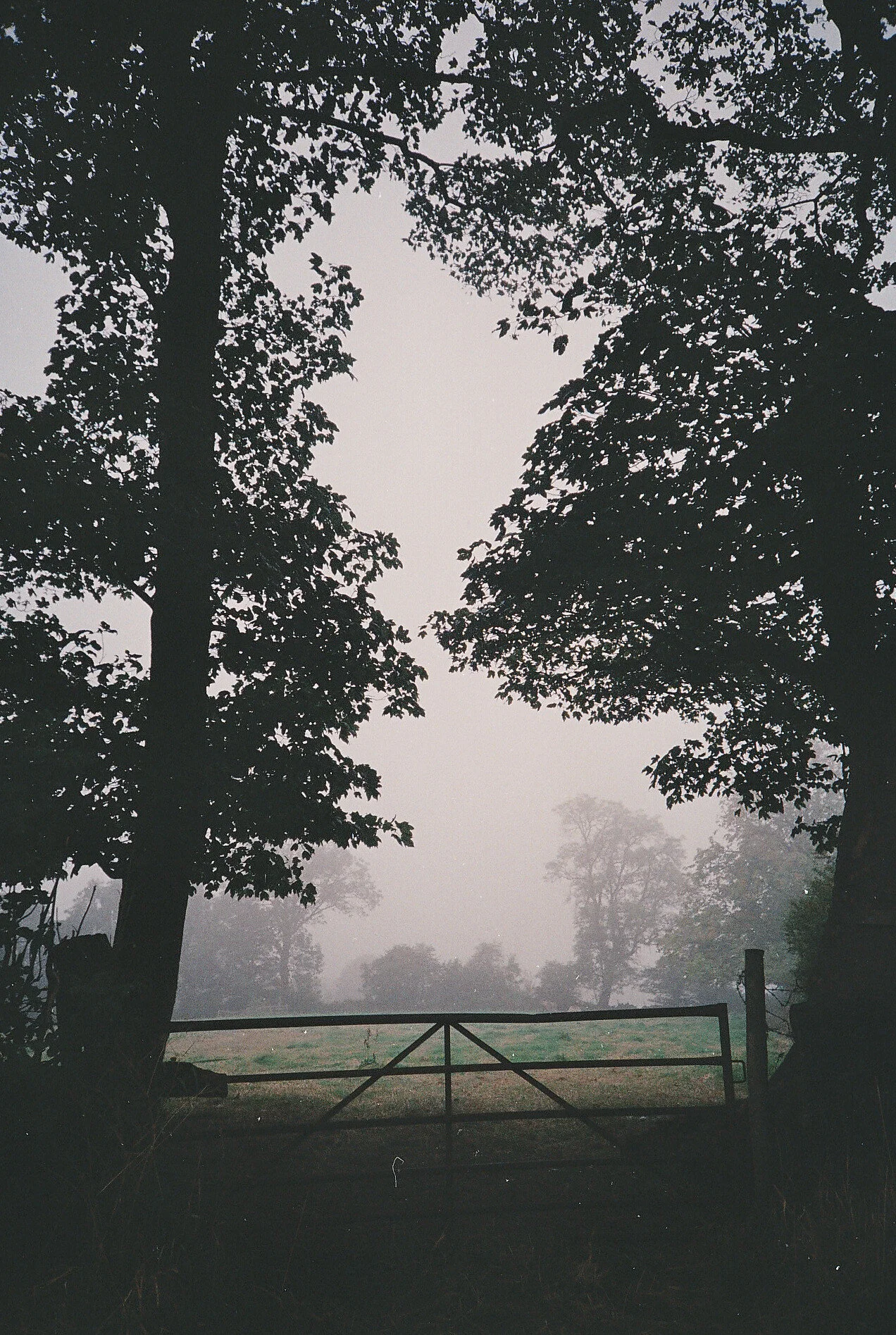 4 - Copy.jpg