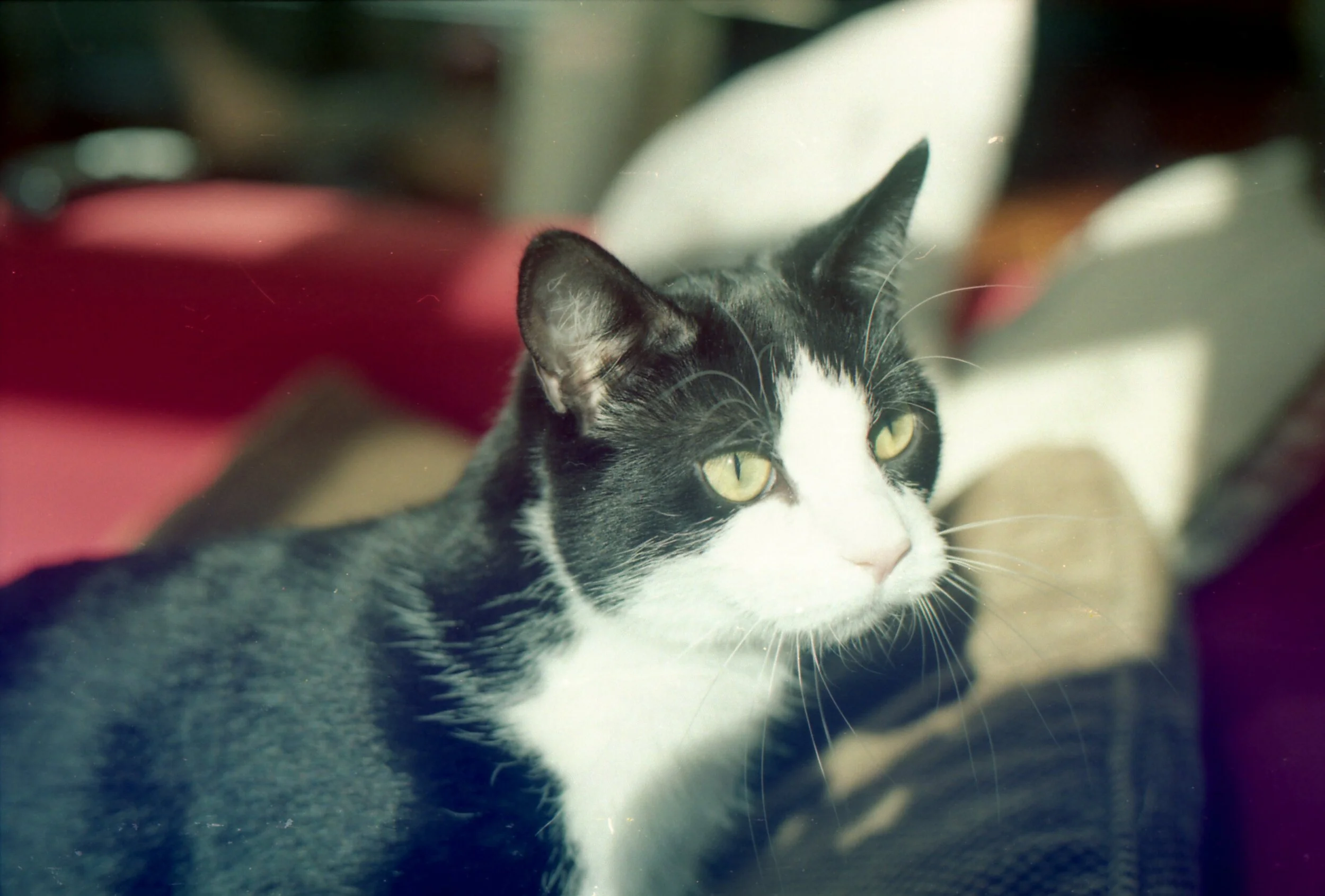 img332.jpg