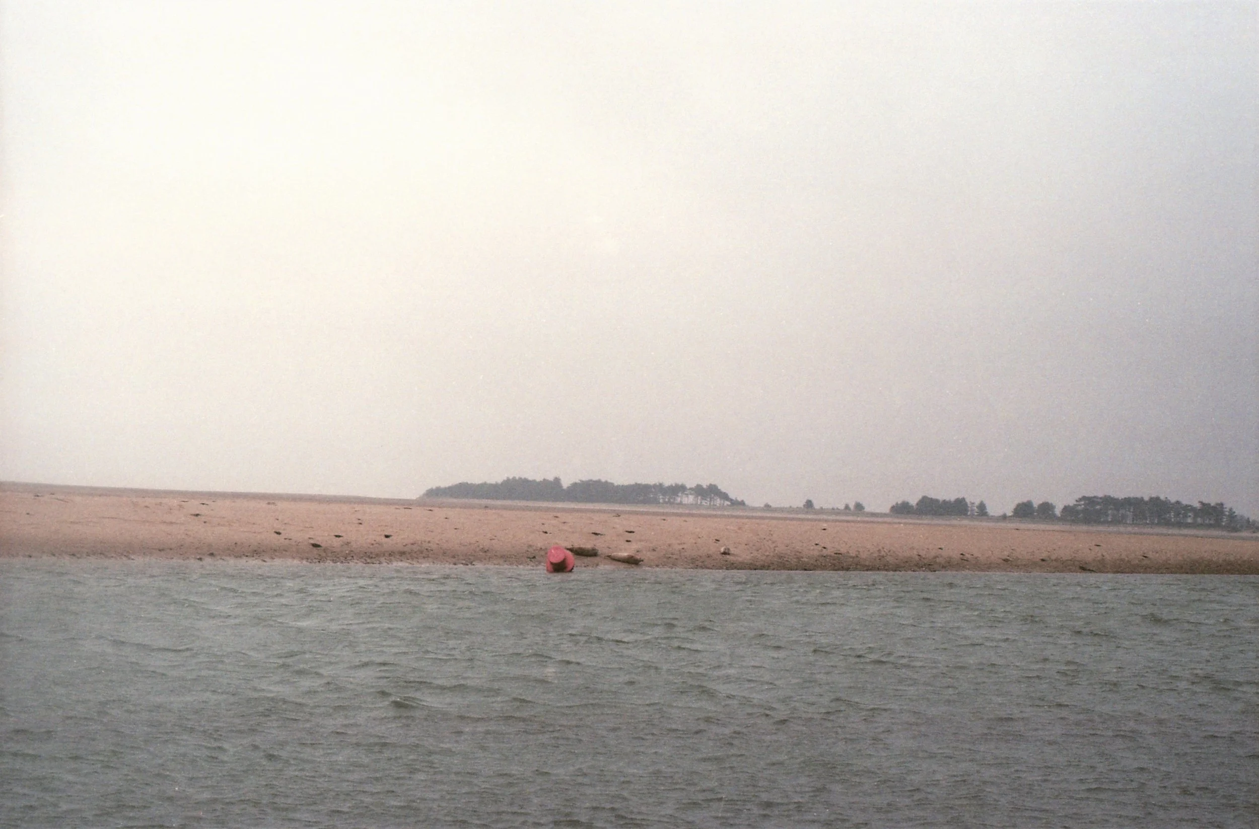 Img192.jpg