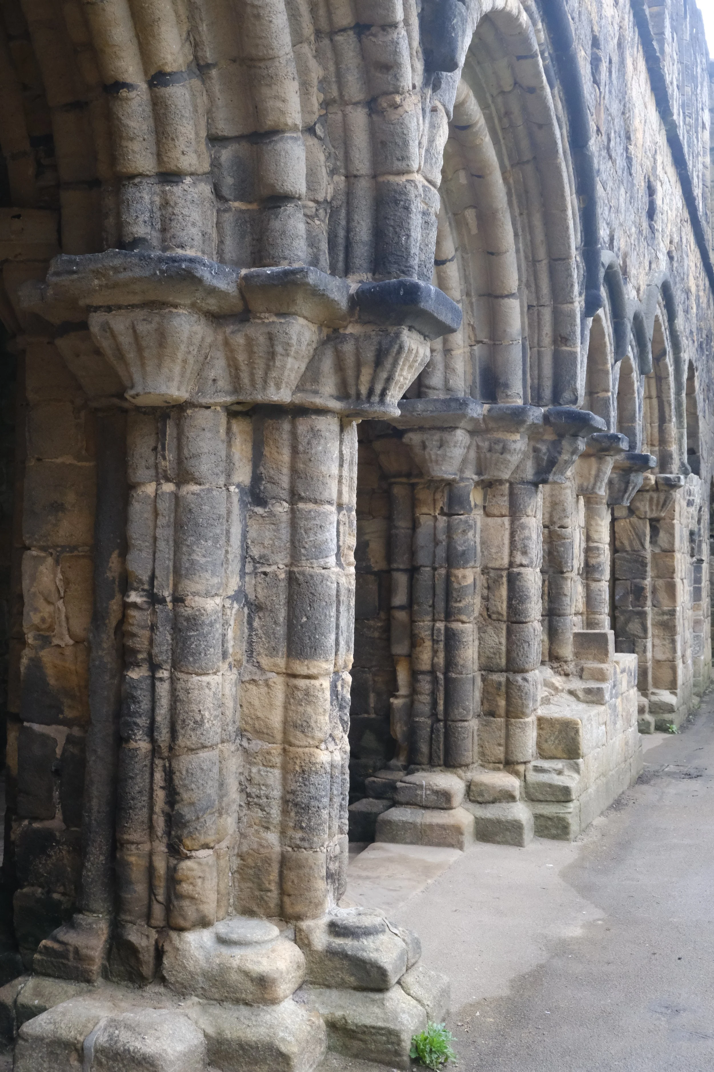 DSCF0546.JPG