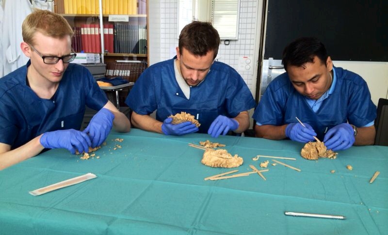 Dr. Aung Thu Soe Minh with his Swiss colleagues during practical exercises on plastified models