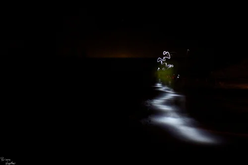 IMG_0048.jpg