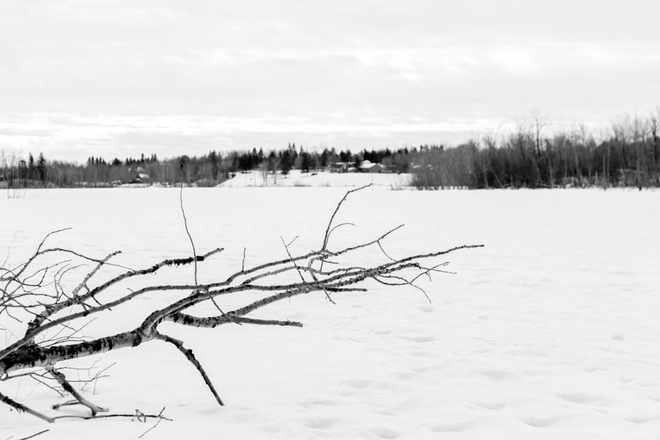 IMG_2075.jpg