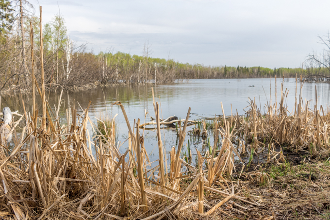 IMG_6165-HDR.jpg