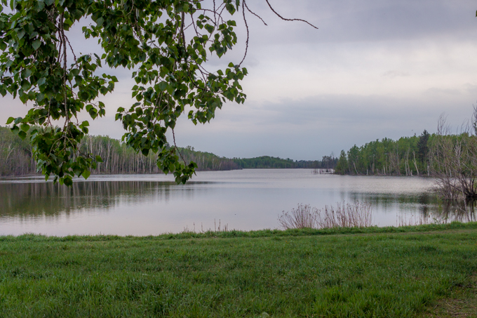IMG_7574.jpg