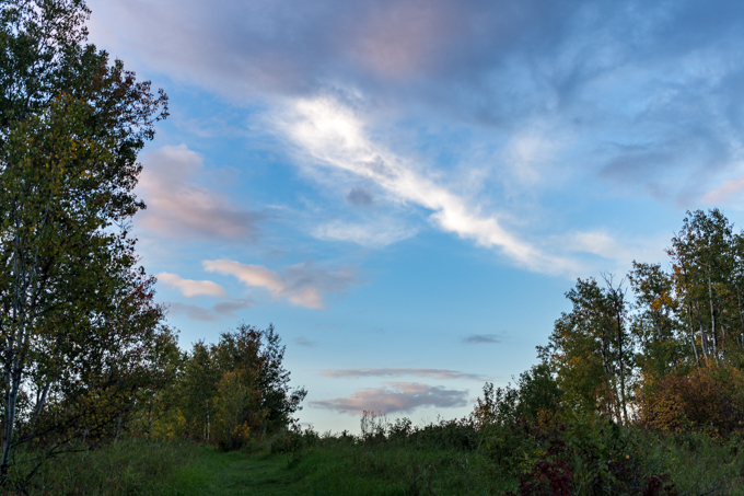 IMG_5364.jpg