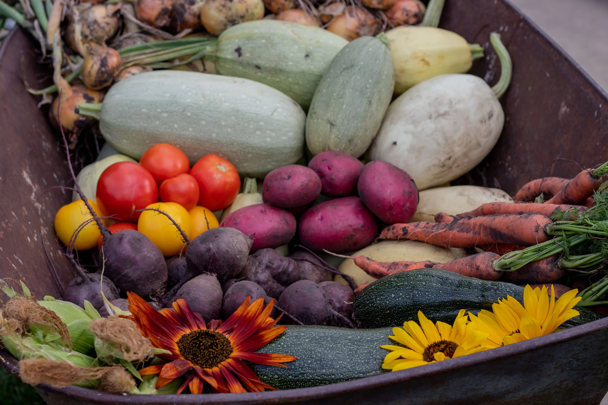 Some of today's garden harvest. While I planted most of this stuff, I was not responsible for today's harvest. Gardening is perhaps one of the ultimate delayed-gratification activities.