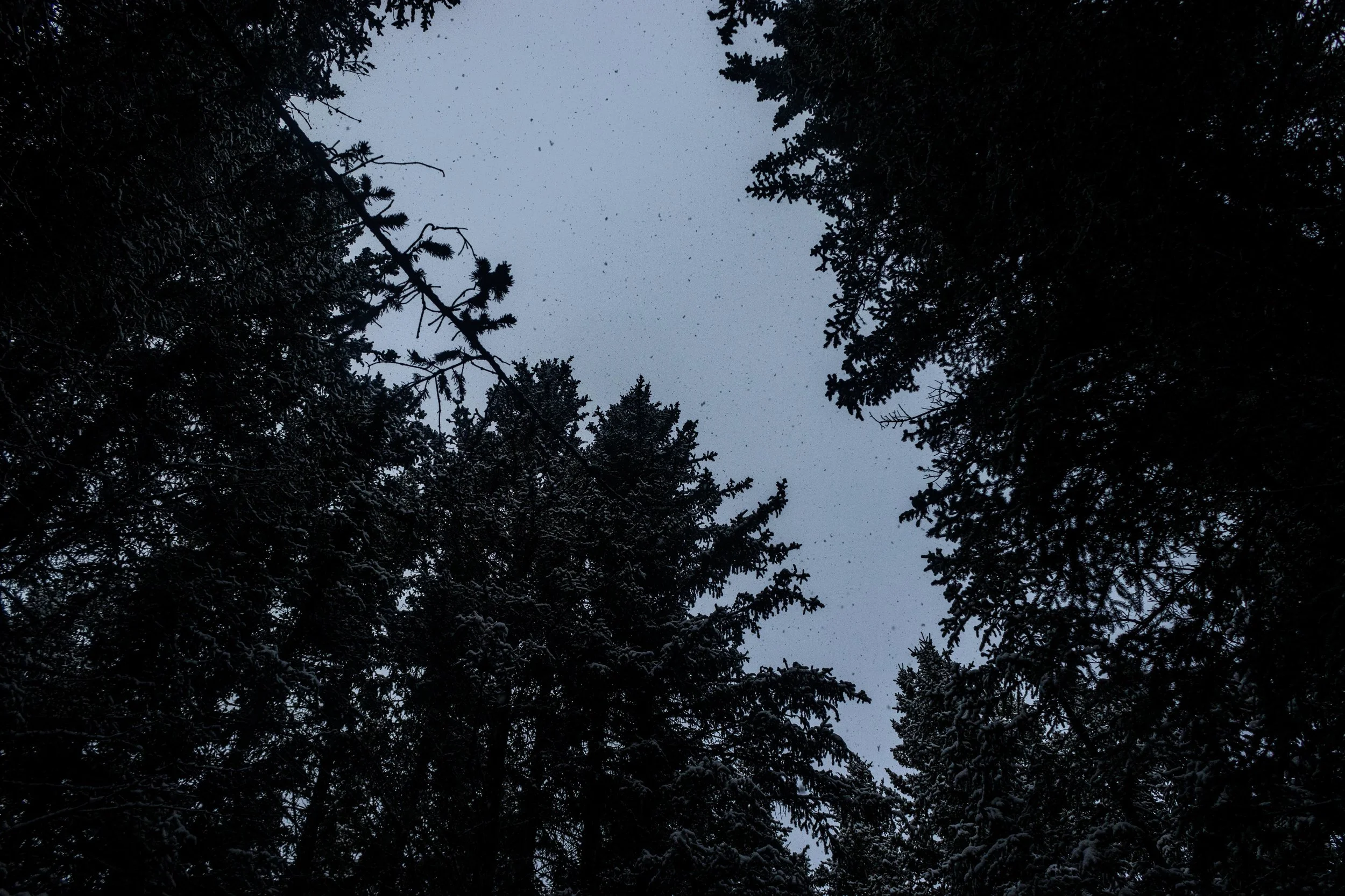 My view from the spot I was laying.
