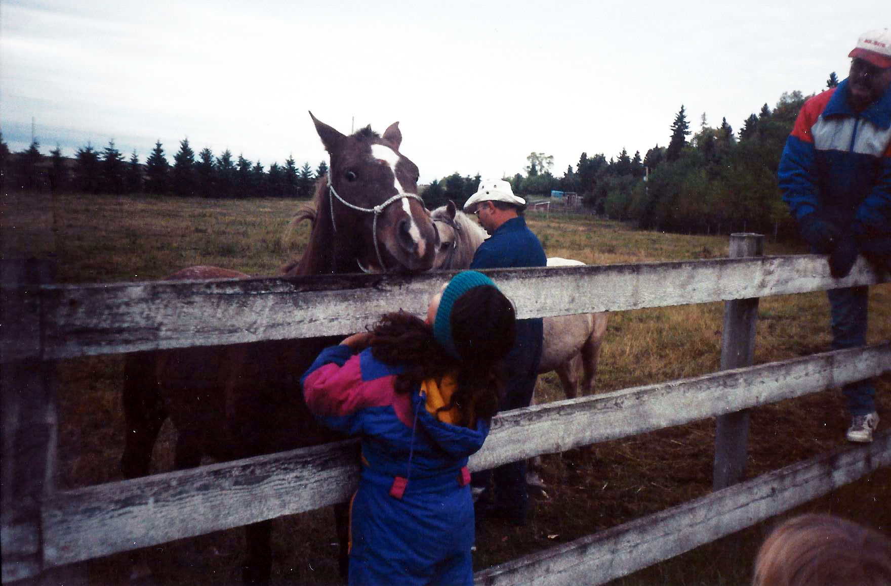 Meeting my horse Splash for the first time.