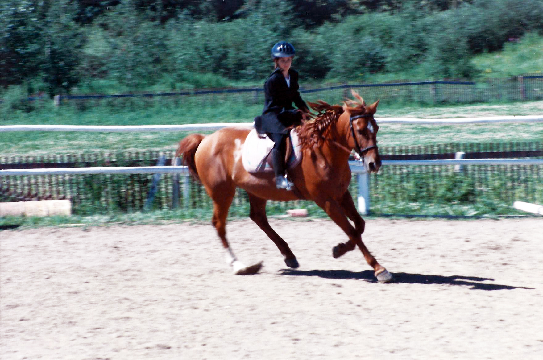 I think we got a pretty decent test score. Dressage has always been a favourite, I really miss it, and riding in general.