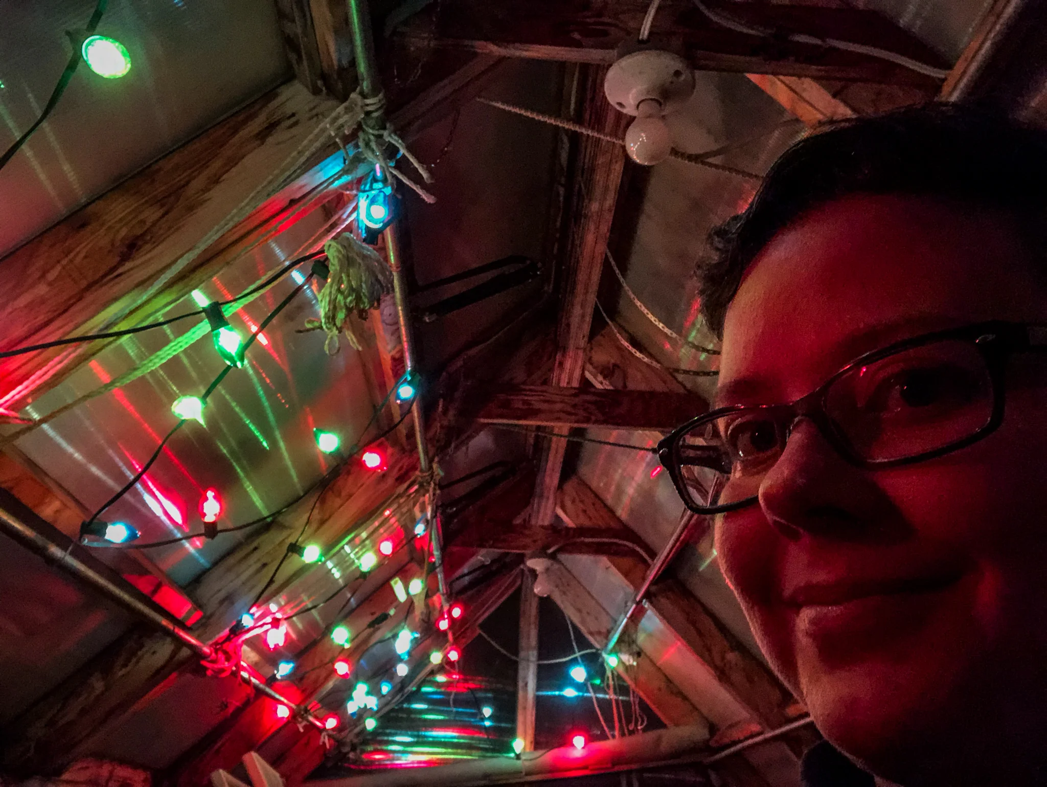 FYI, my greenhouse still has pretty great light, even in winter.