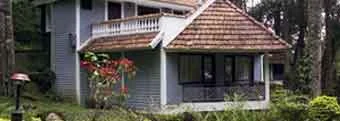 Tall_Trees_Resort.jpg