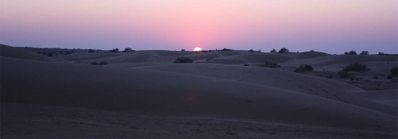 rajasthan-rover-banner.jpg