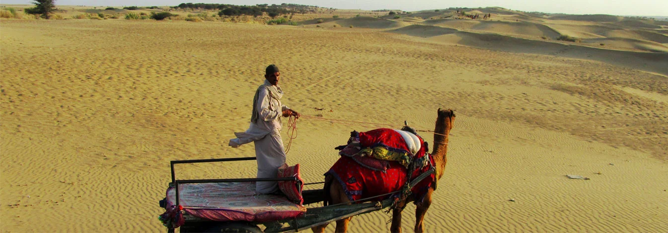 camel-safari-banner.jpg