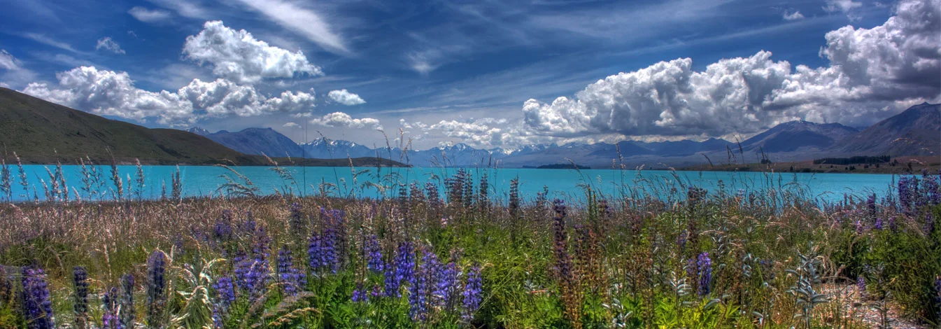 new-zealand-banner.jpg