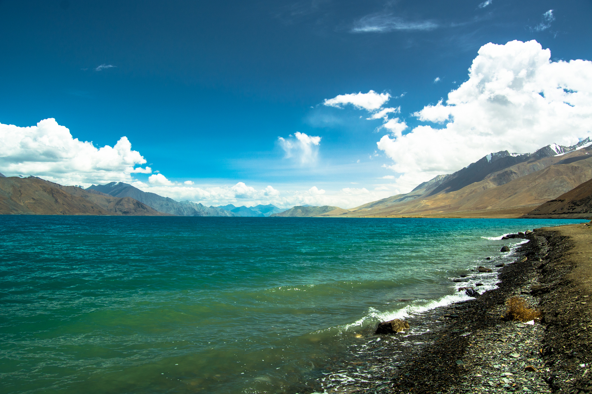 pangong 4.jpg