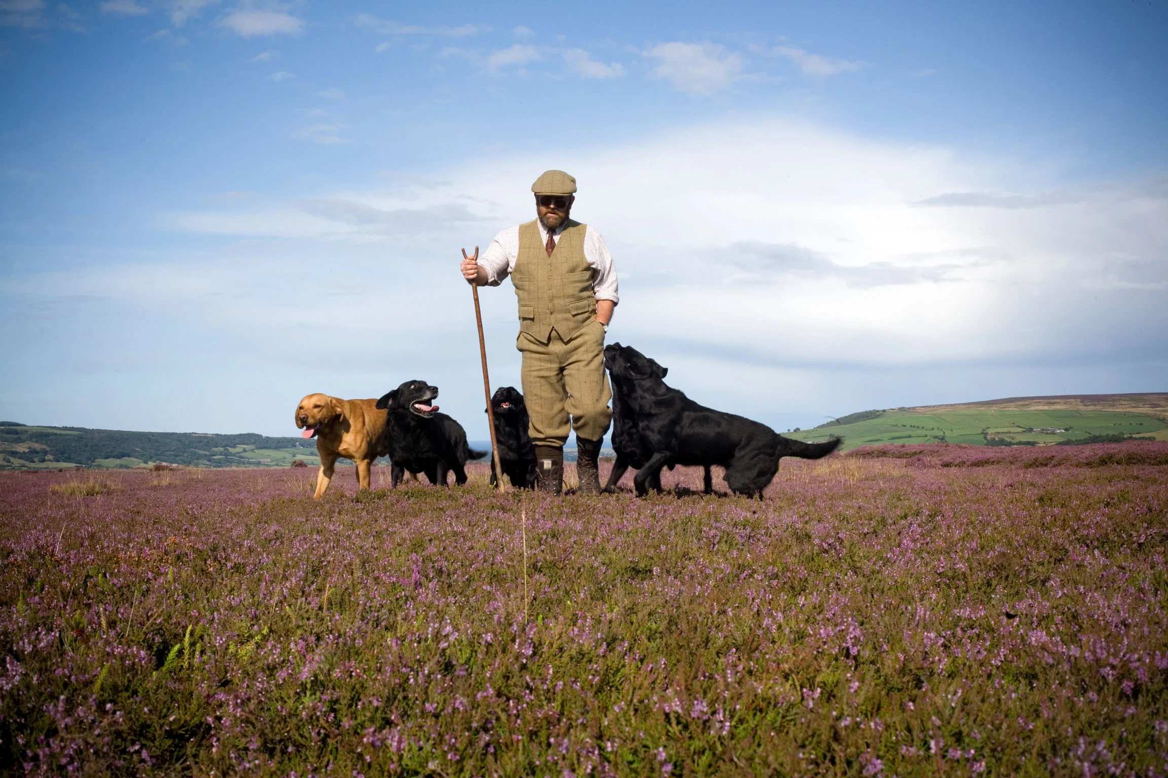 Gamekeeper with his Labradors.