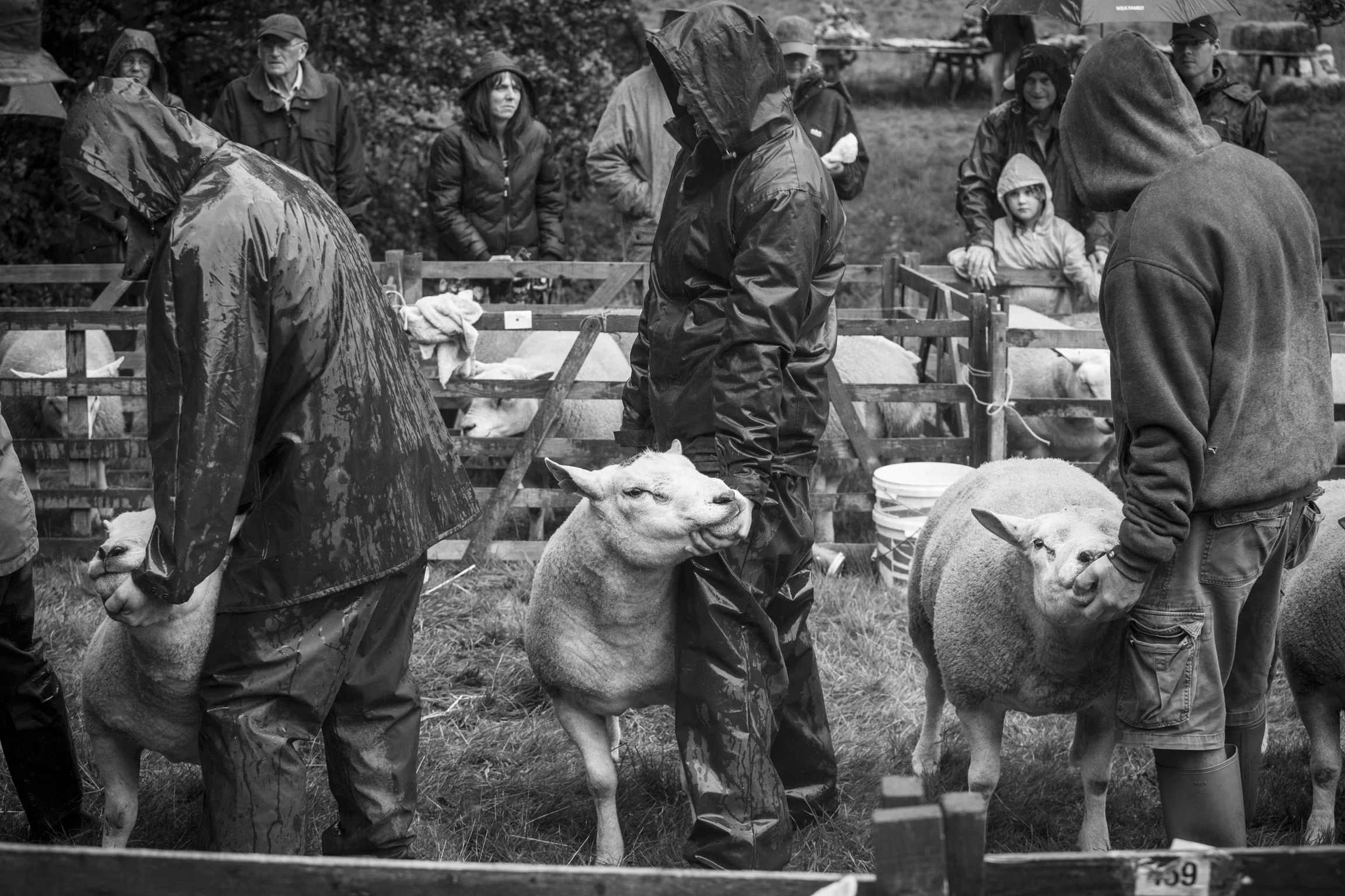 farndale-show.jpg