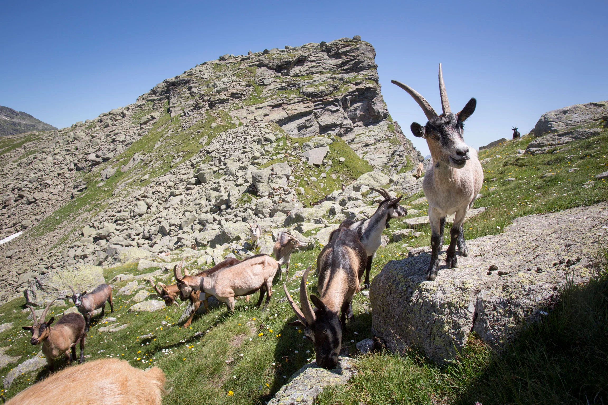 austrian-sudtirol-trekking9.jpg