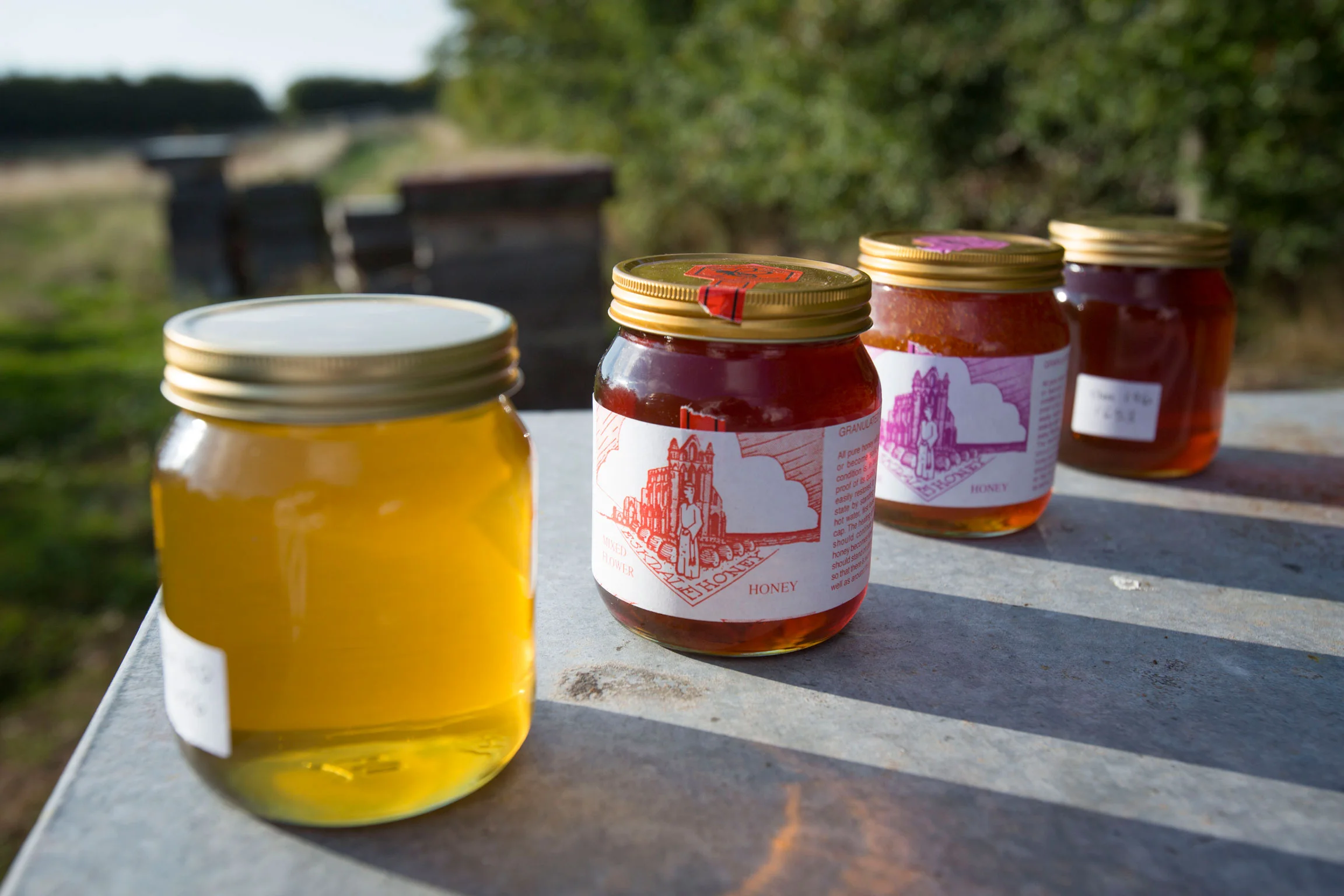 w1277.-Whitby-&-Disc.-Beekeeping.jpg