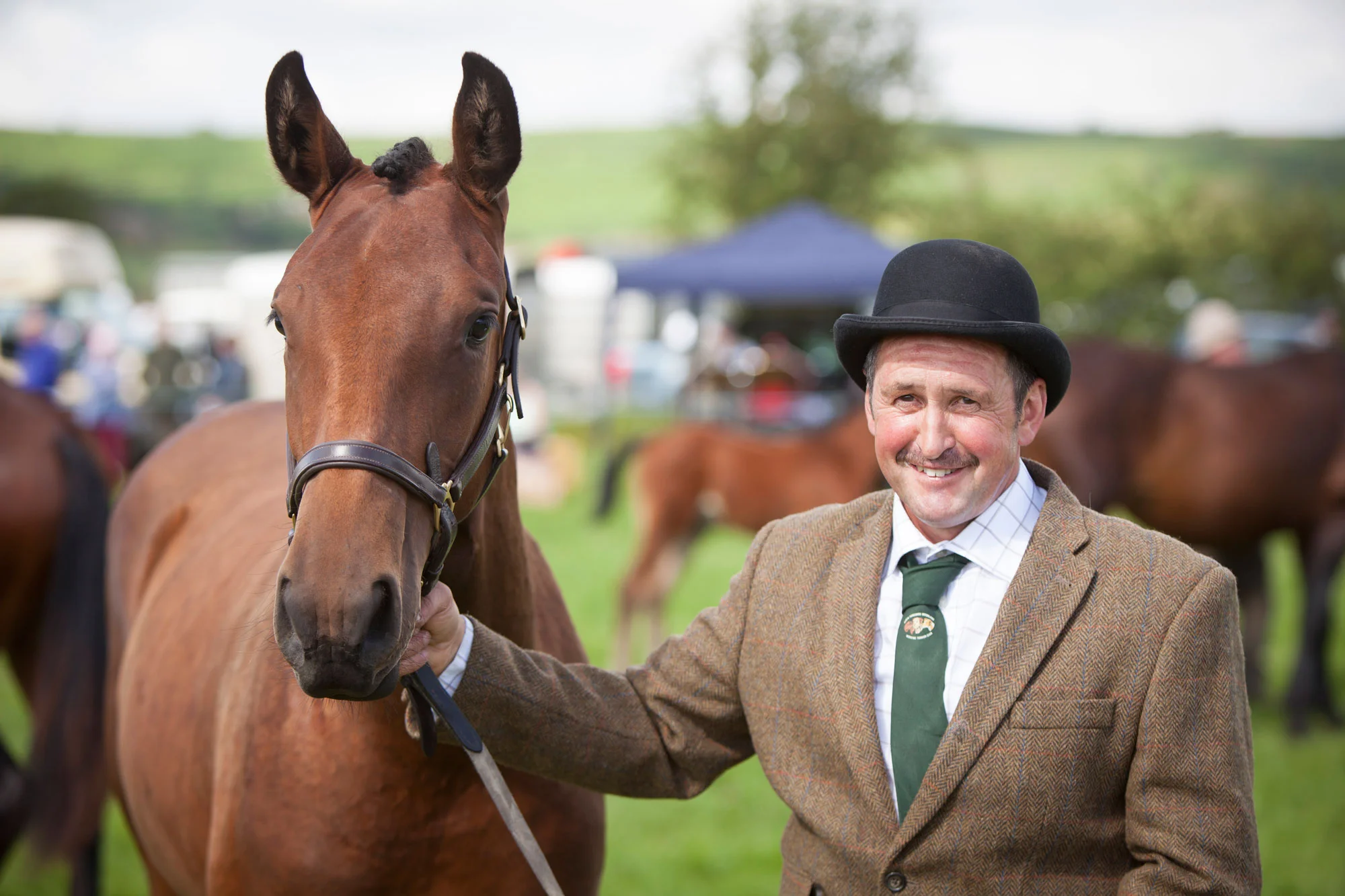 w1402a.-Danby-Show-2016.jpg