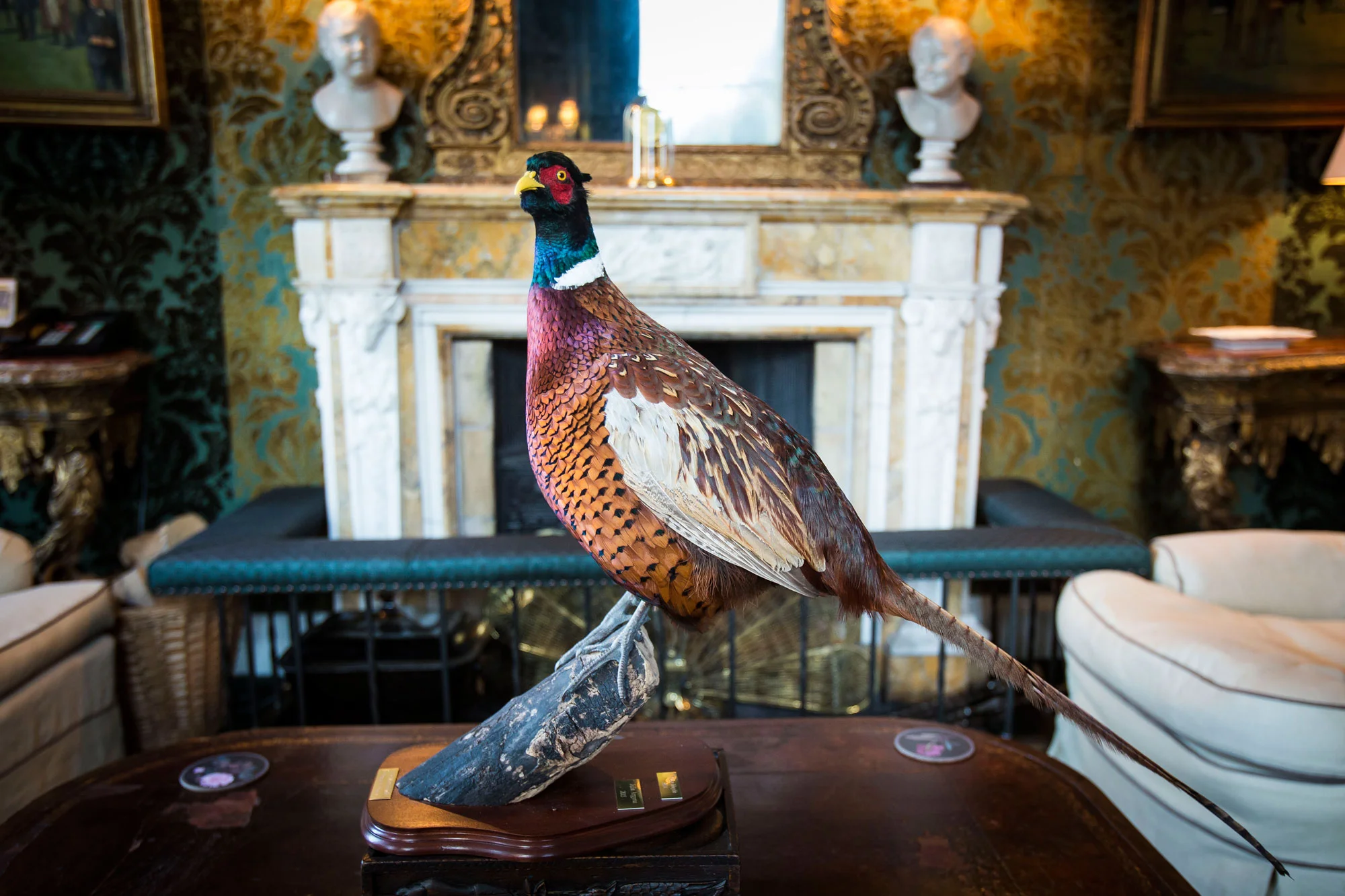 Pheasant Trophy.