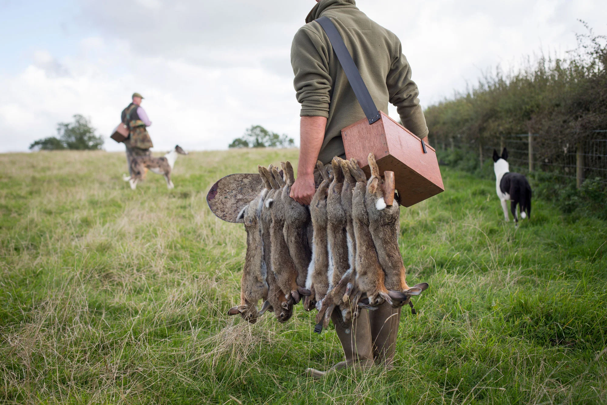 034Ferreting-7th-Oct-2016.jpg