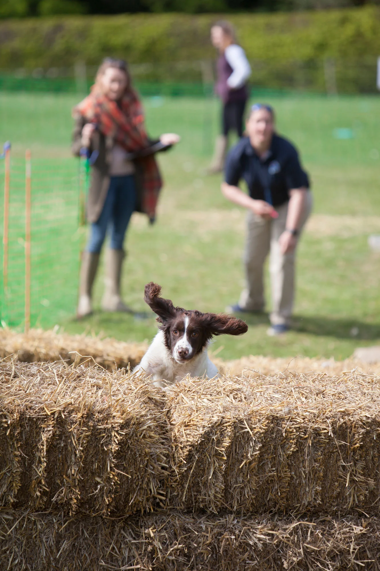 Azerley Charity Clay Shoot.
