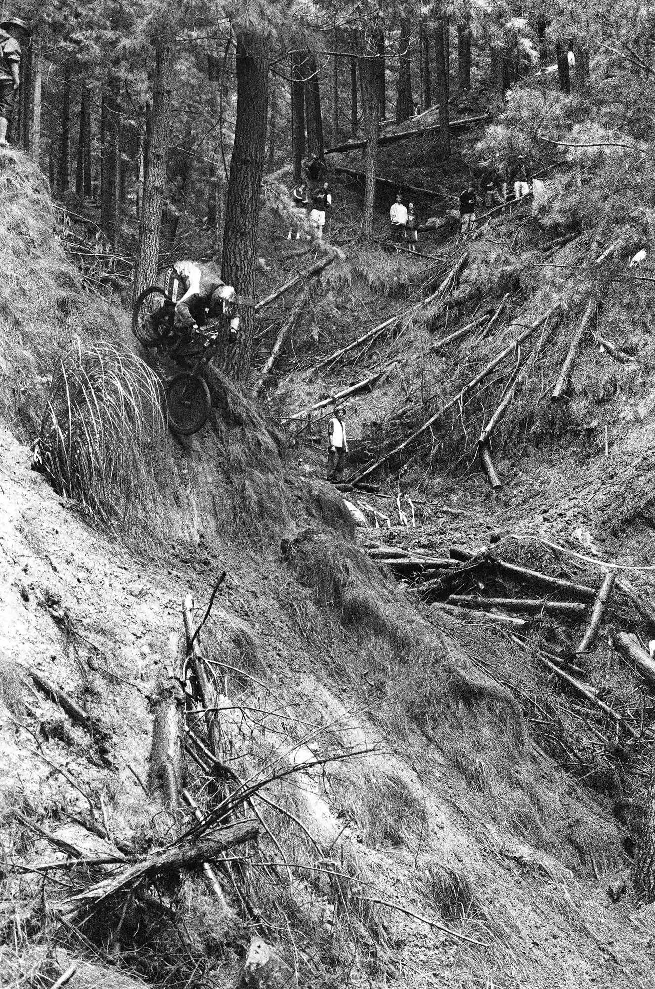 New Zealand MTB downhill..jpg