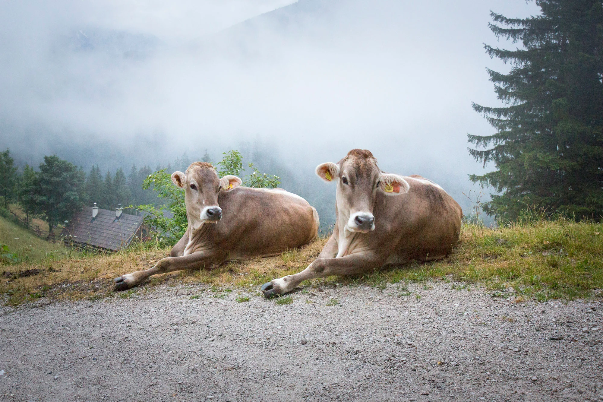 Steirmark-Austria,-Trekking.19.jpg