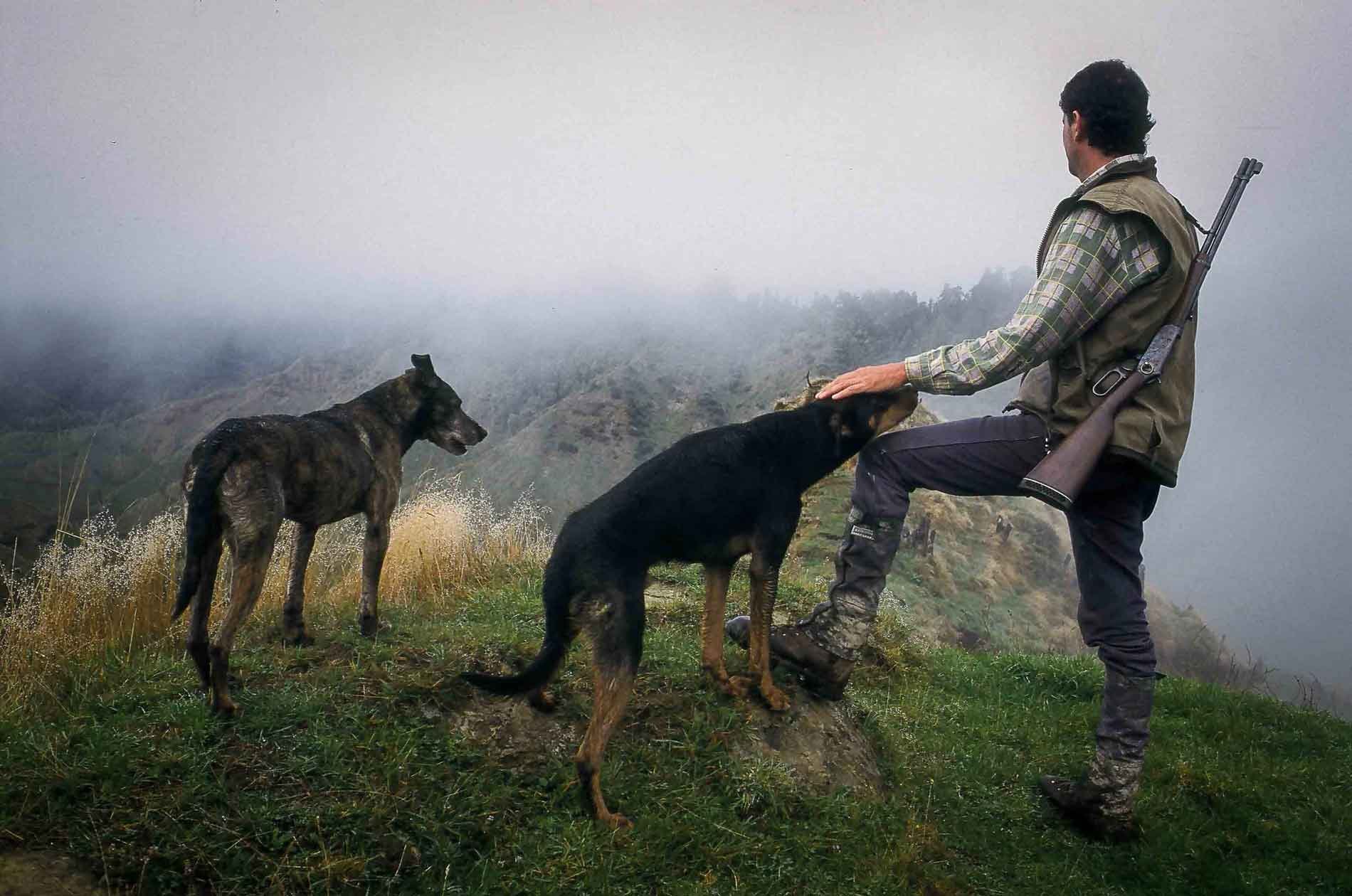 Pig Hunting, New Zealand. 2001.