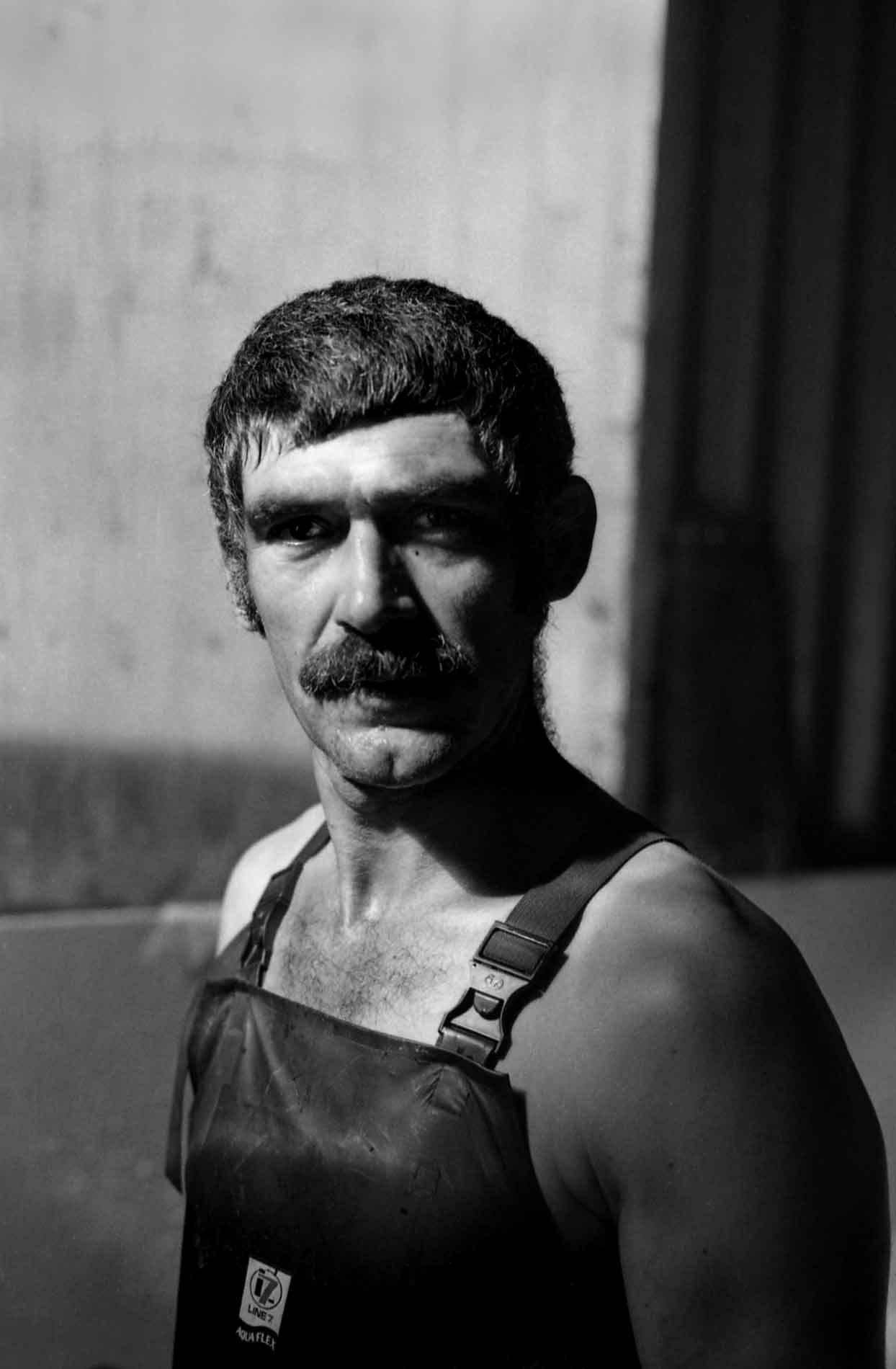New-Zealnd-Sheep-farmer.jpg