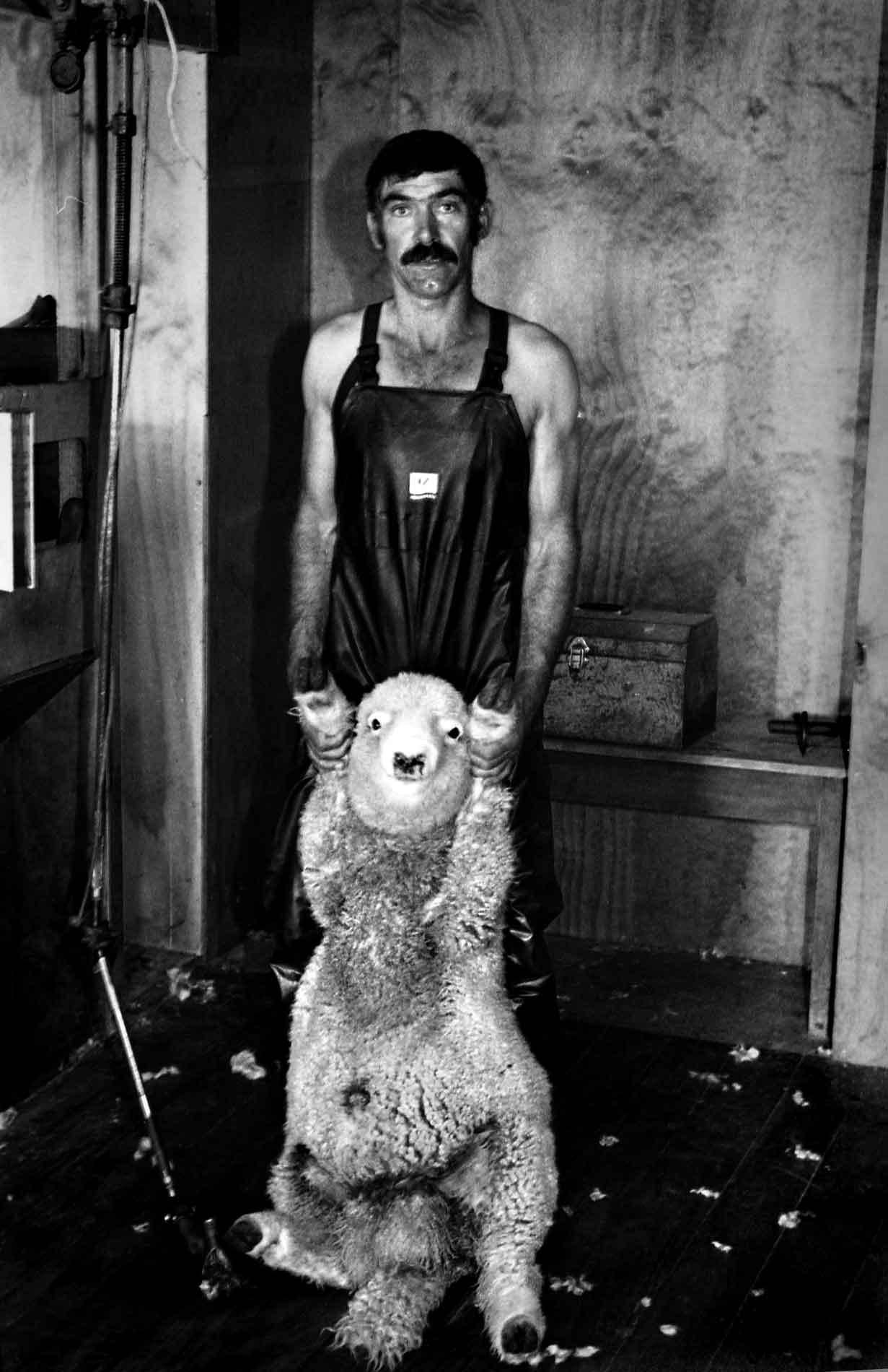 Portrait-of-New-Zealand-Sheep-Farmer.jpg