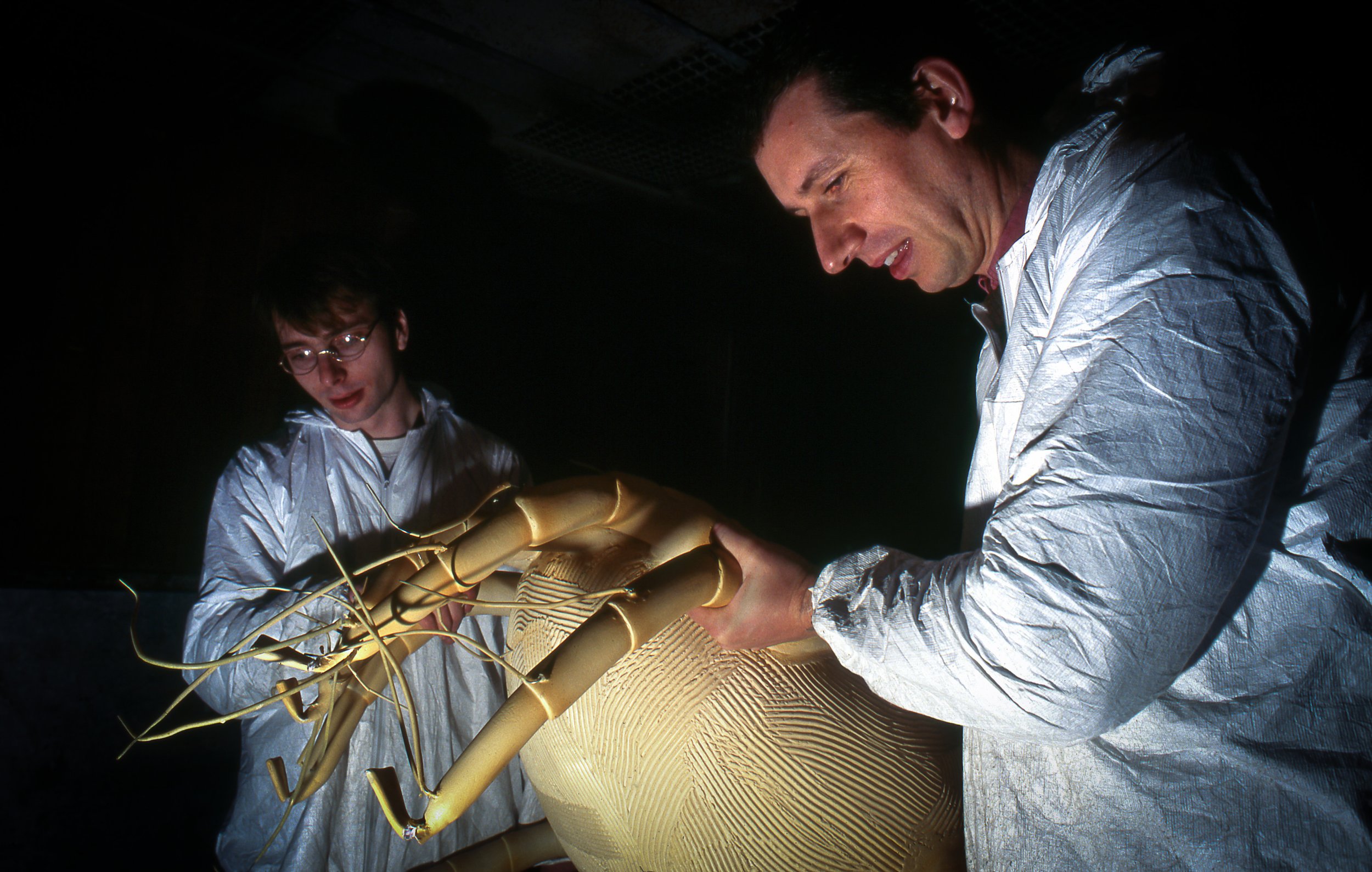 National Museum of Wales, Coldstore. 1994.