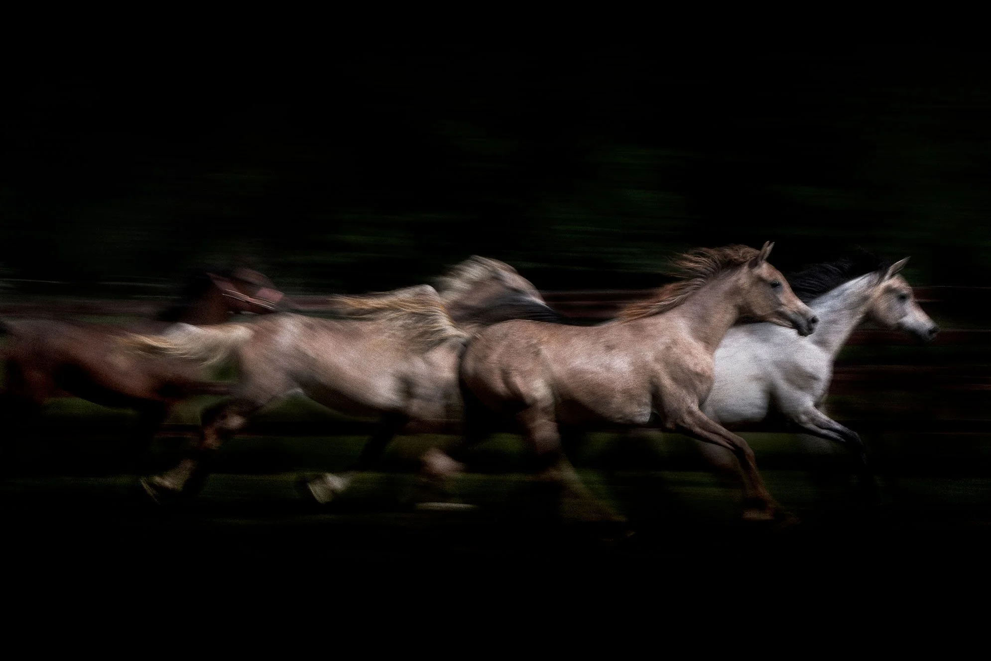 Galloping-Horses-tribute-to-Ernst-Haas.jpg