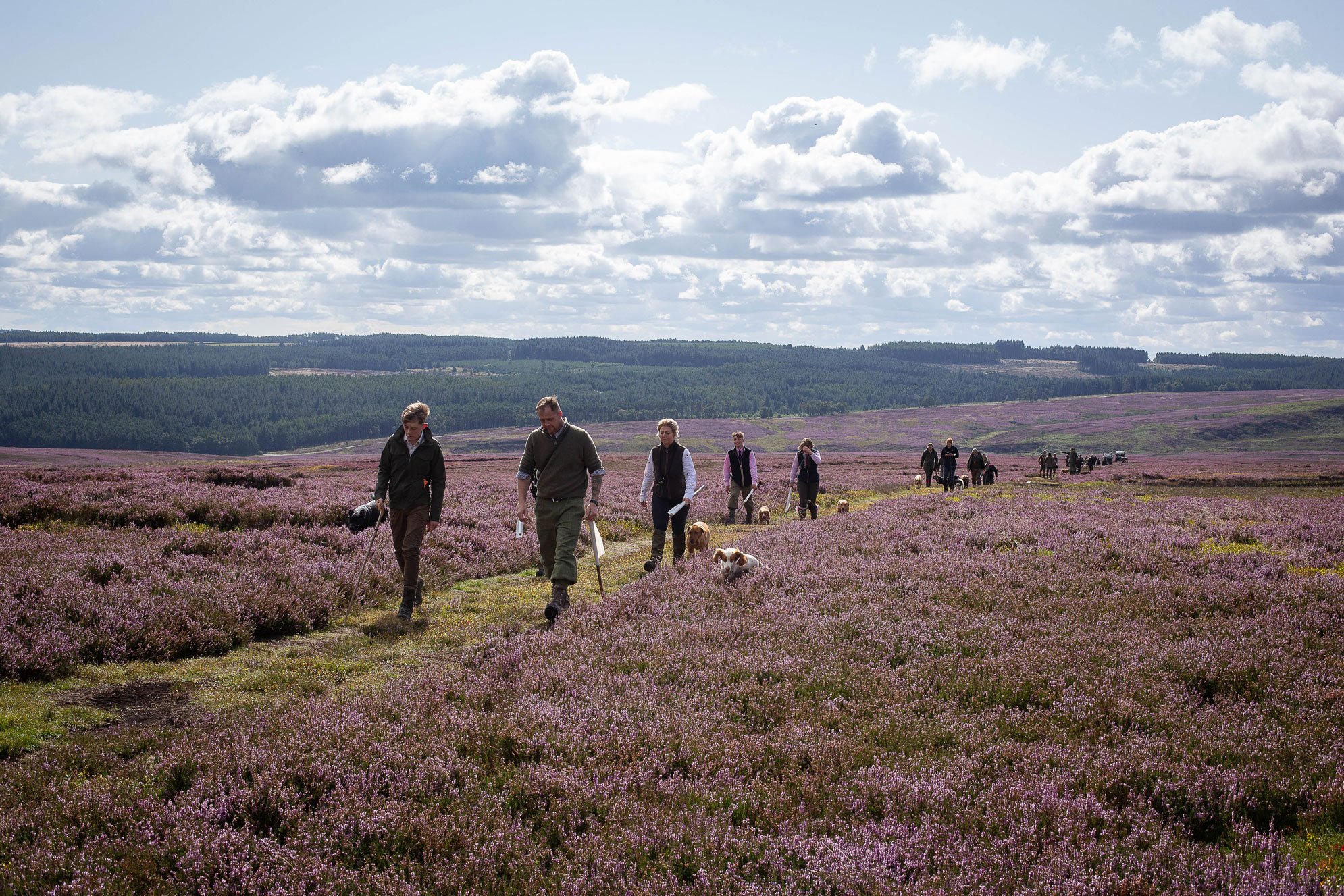 Yorkshire-Moors-Grouse-Beaters-.jpg