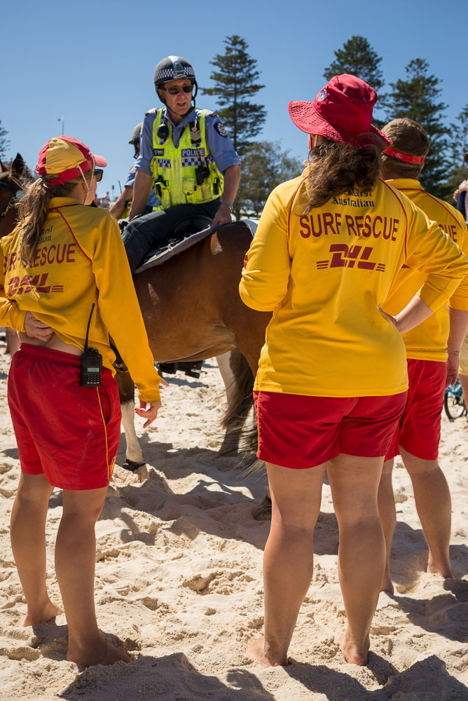 Protest agains shark cull policy in WA, Cottesloe, 2014, ©Piotrek Ziolkowski