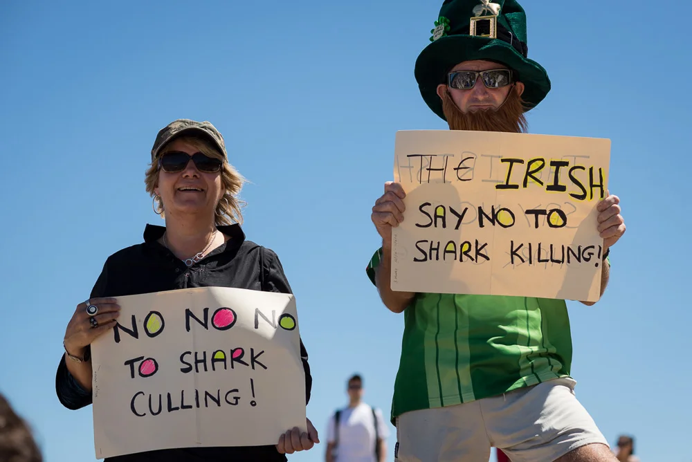 Protest agains shark cull policy in WA, Cottesloe, 2014, ©Piotrek Ziolkowski