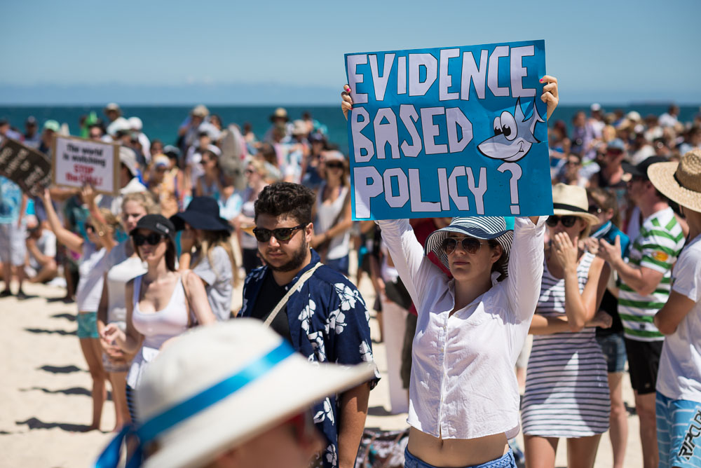 Protest agains shark cull policy in WA, Cottesloe, 2014, ©Piotrek Ziolkowski