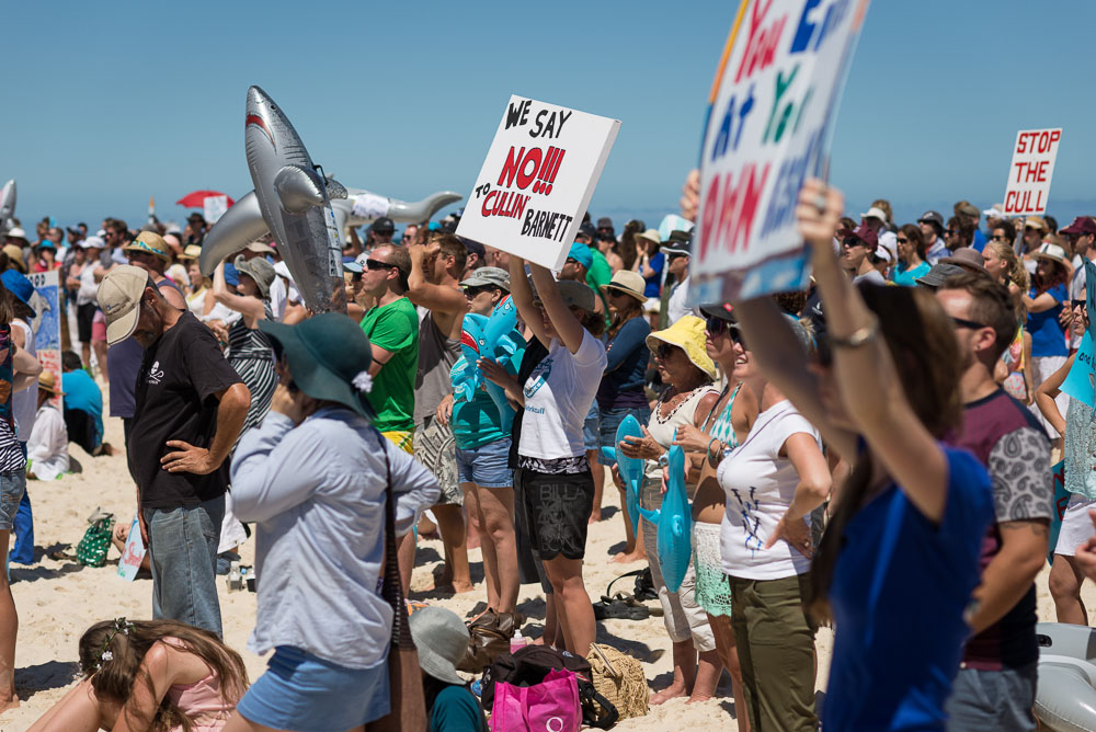 Protest agains shark cull policy in WA, Cottesloe, 2014, ©Piotrek Ziolkowski
