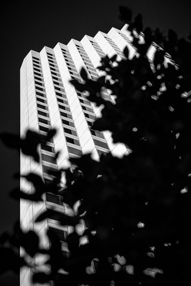 CBD