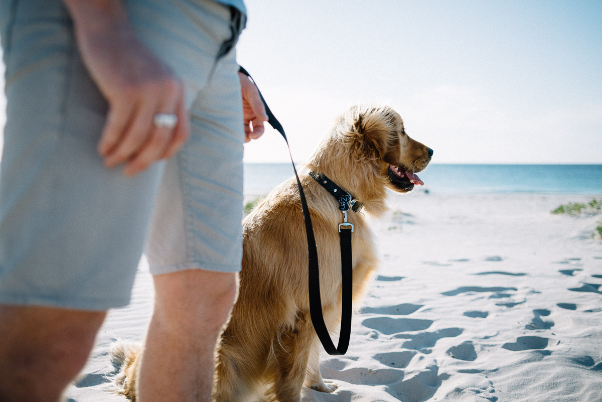 Glen and Ella / wedding photographer Fremantle