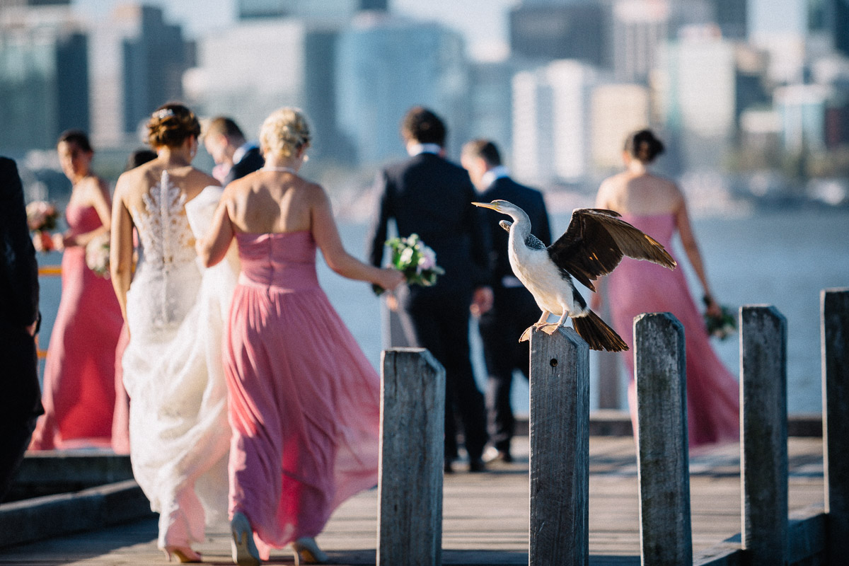 Melita and Anthony / Lamont's Bishops House Wedding