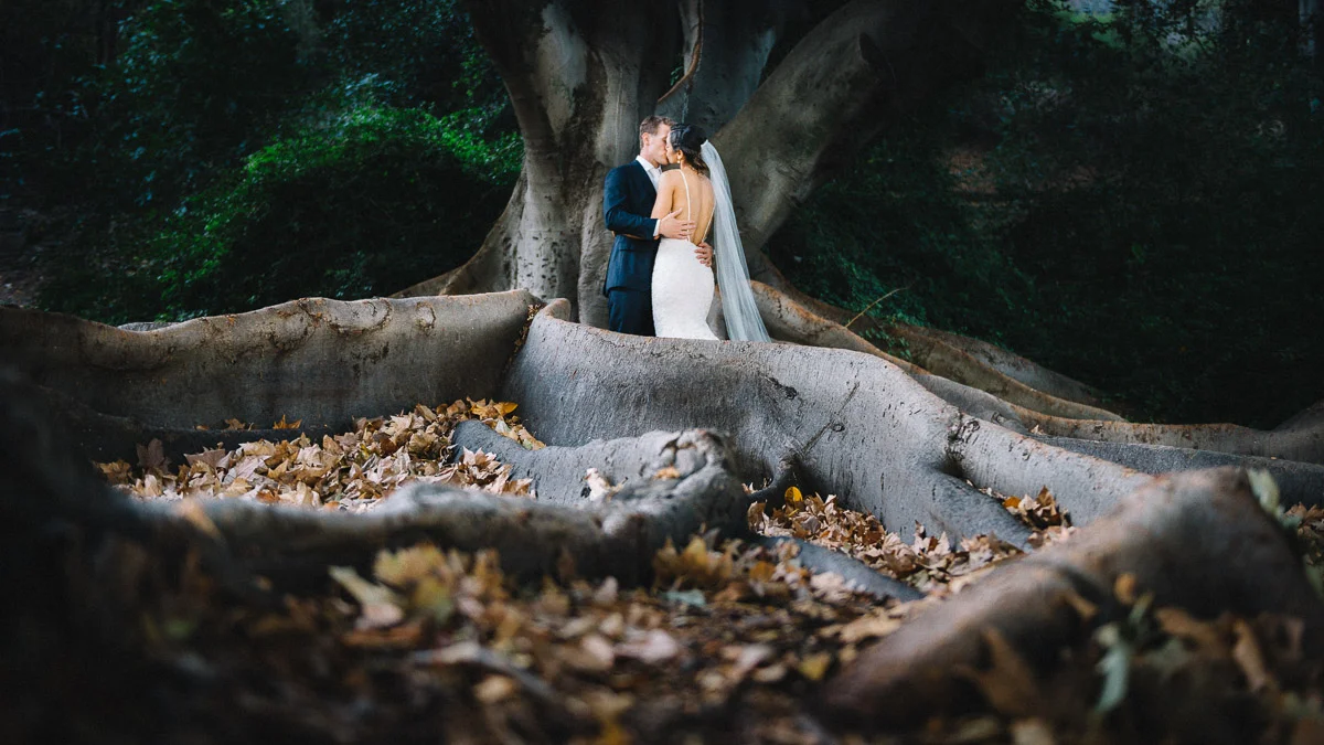 Jo and Oliver / Lamont's Bishops House Wedding by Piotrek Ziolkowski