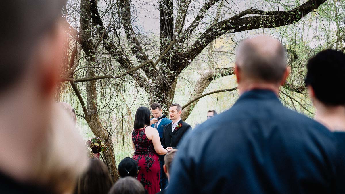 Brookside Vineyard Wedding of Wojtek And Lana