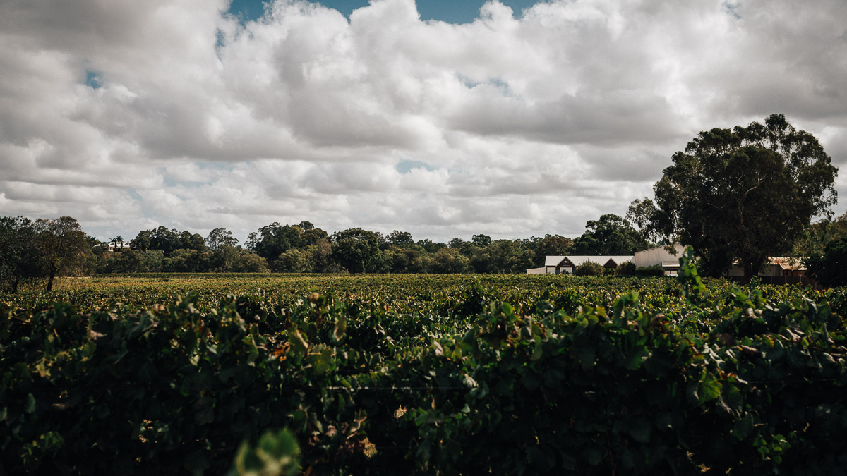 Upper Reach Winery Wedding 