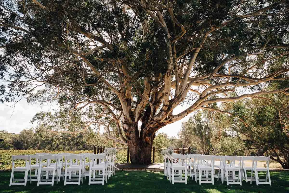 Upper Reach Winery Wedding