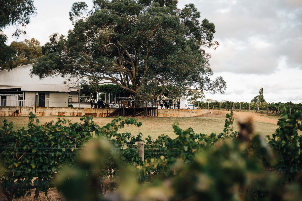 Upper Reach Winery Wedding 