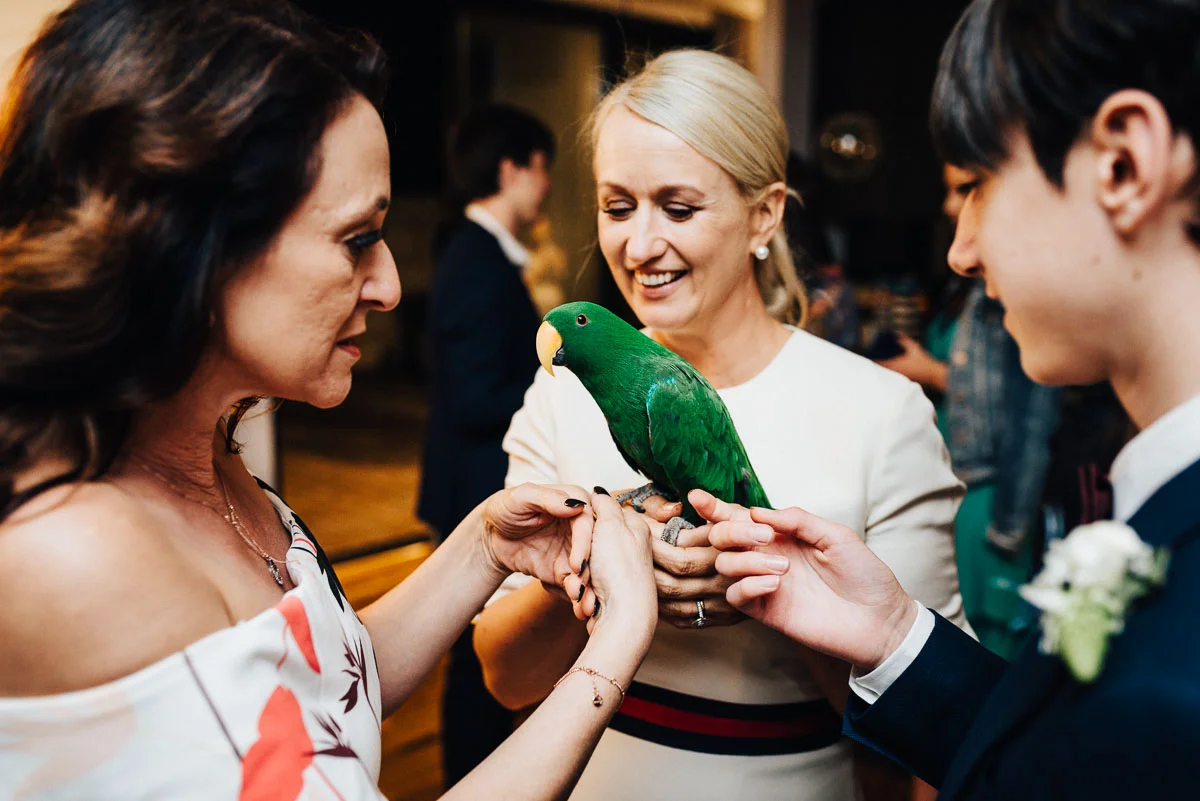 fremantle-backyard-wedding-80.jpg
